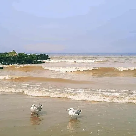 Apartment In Near Sandy Shores Nieuwpoort