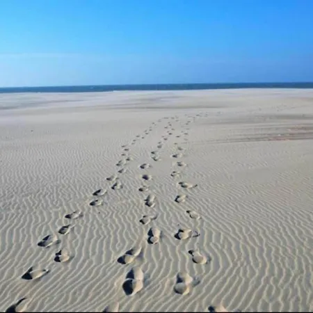 Cape Cod 201 With Location Apartment